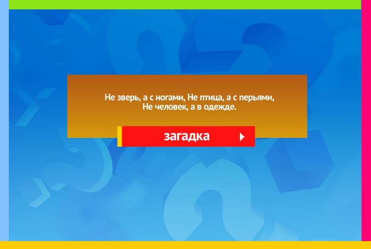 Загадка про кровать. Не зверь, а с ногами, Не птица, а с перьями, Не человек, а в одежде.