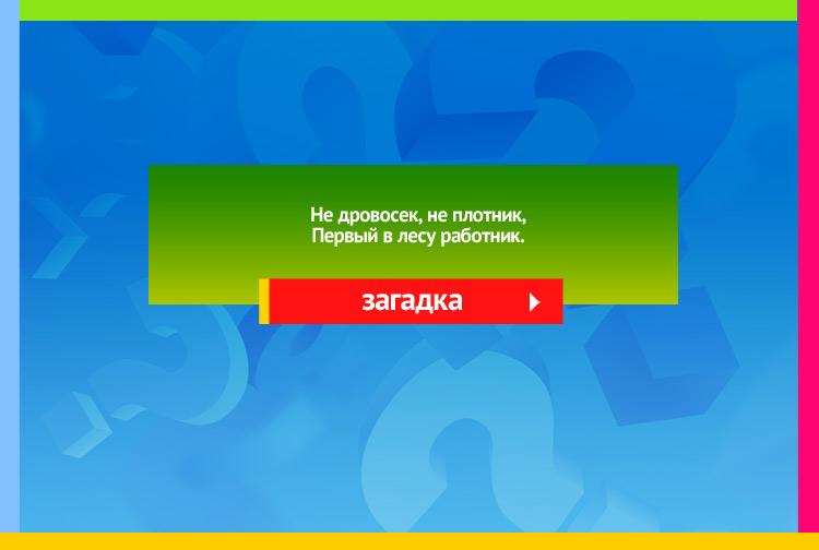 Загадка про дятла. Не дровосек, не плотник, Первый в лесу работник.