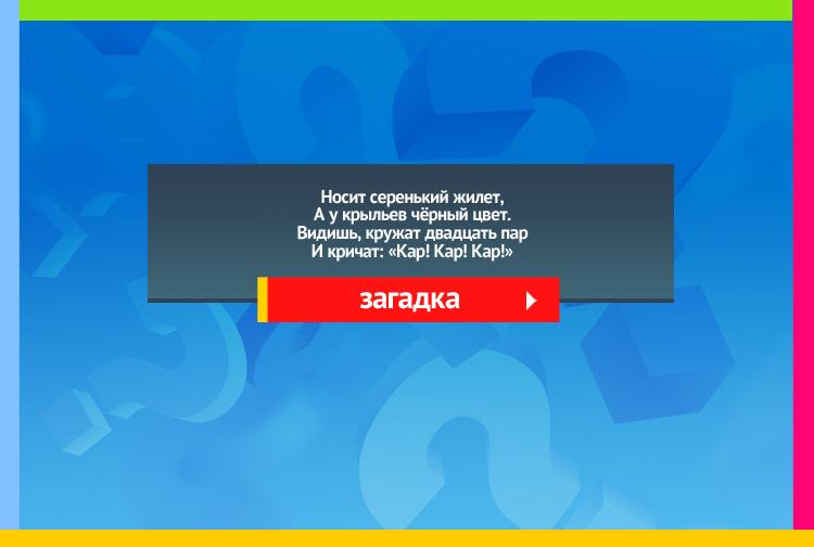 Загадка про ворону. Носит серенький жилет, А у крыльев чёрный цвет. Видишь, кружат двадцать пар И кричат: Кар! Кар! Кар!