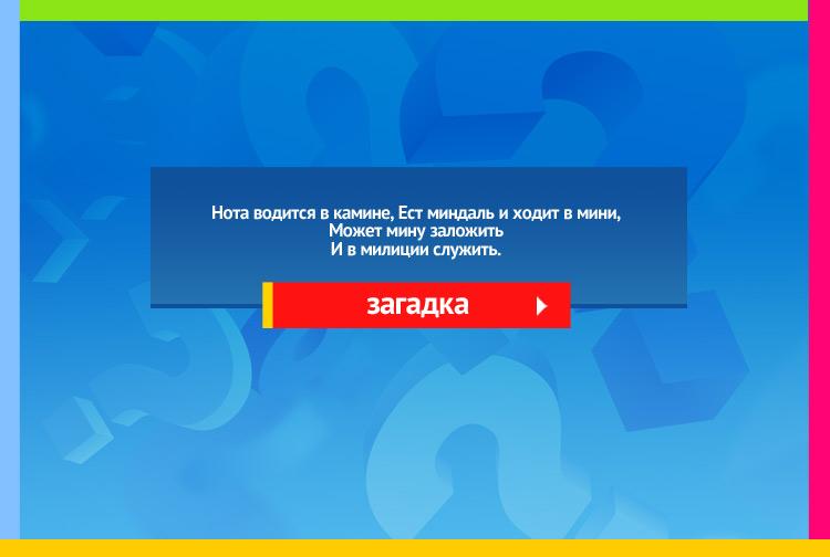 Загадка про ноту ми. Нота водится в камине, Ест миндаль и ходит в мини, Может мину заложить И в милиции служить.