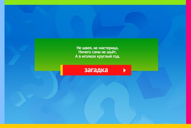 Загадка про елку. Не швея, не мастерица, Ничего сама не шьёт, А в иголках круглый год.