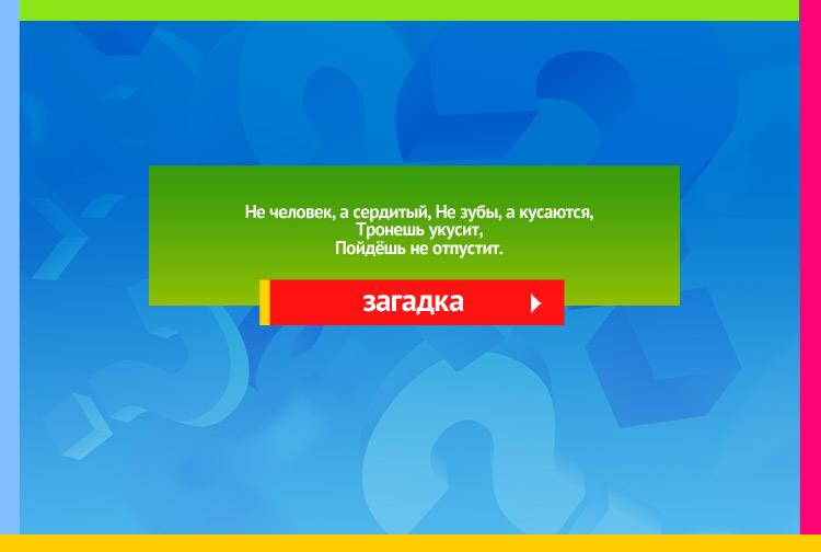 Загадка про капкан. Не человек, а сердитый, Не зубы, а кусаются, Тронешь укусит, Пойдёшь не отпустит.