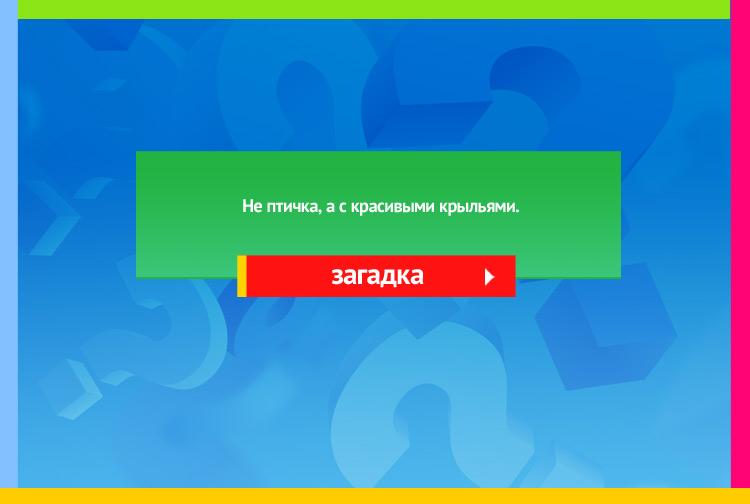 Загадка про бабочку. Не птичка, а с красивыми крыльями.