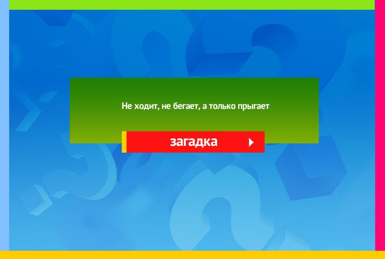 Загадка про лягушку. Не ходит, не бегает, А только прыгает.