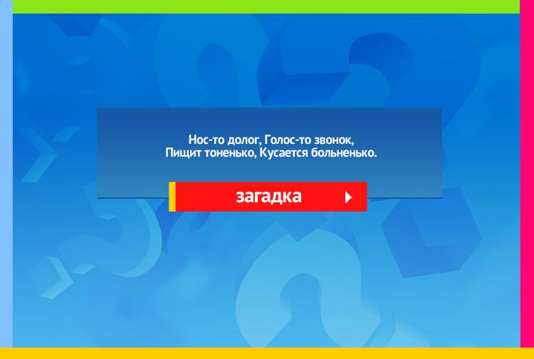 Загадка про комара. Нос-то долог, Голос-то звонок, Пищит тоненько, Кусается больненько.