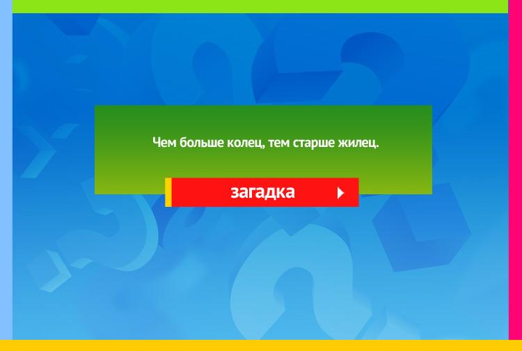 Загадка про дерево. Чем больше колец, тем старше жилец.