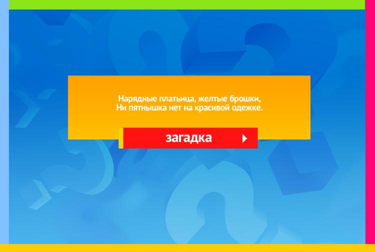 Загадка про ромашку. Нарядные платьица, желтые брошки, Ни пятнышка нет на красивой одежке.