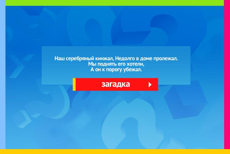 Загадка про сосульку. Наш серебряный кинжал, Недолго в доме пролежал. Мы поднять его хотели, А он к порогу убежал.