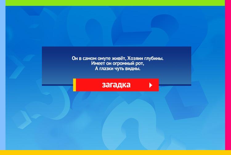 Загадка про сома. Он в самом омуте живёт, Хозяин глубины. Имеет он огромный рот, А глазки чуть видны.
