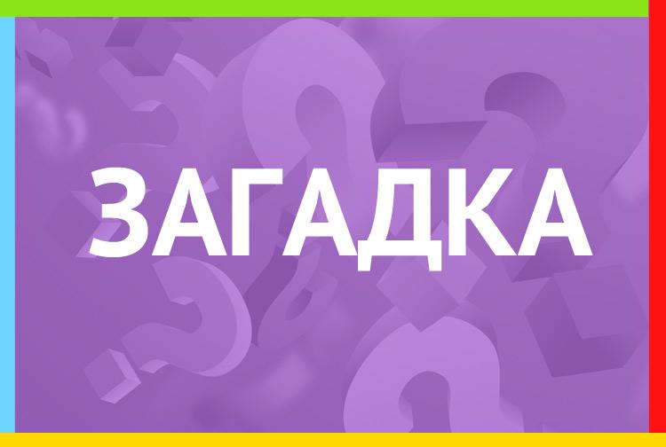 Загадка про лыжи