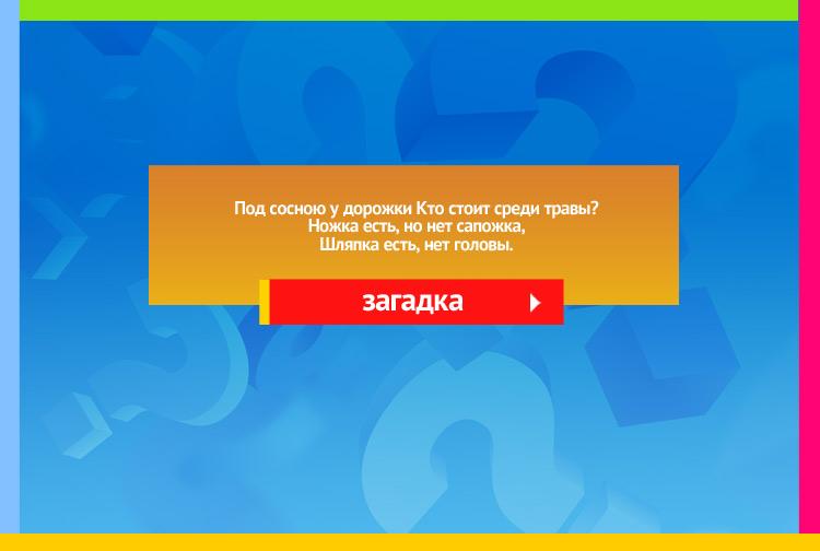 Загадка про гриб. Под сосною у дорожки Кто стоит среди травы? Ножка есть, но нет сапожка, Шляпка есть, нет головы.