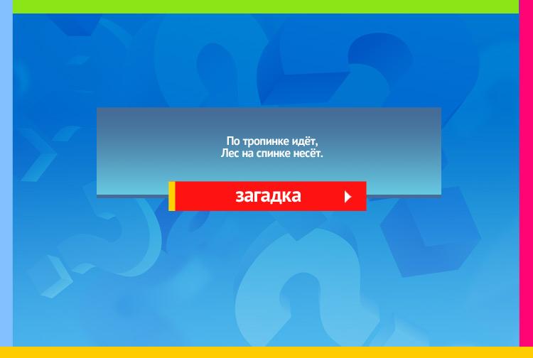 Загадка про ежа. По тропинке идёт, Лес на спинке несёт.