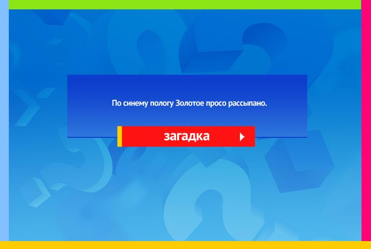 Загадка про небо и звезды. По синему пологу Золотое просо рассыпано.