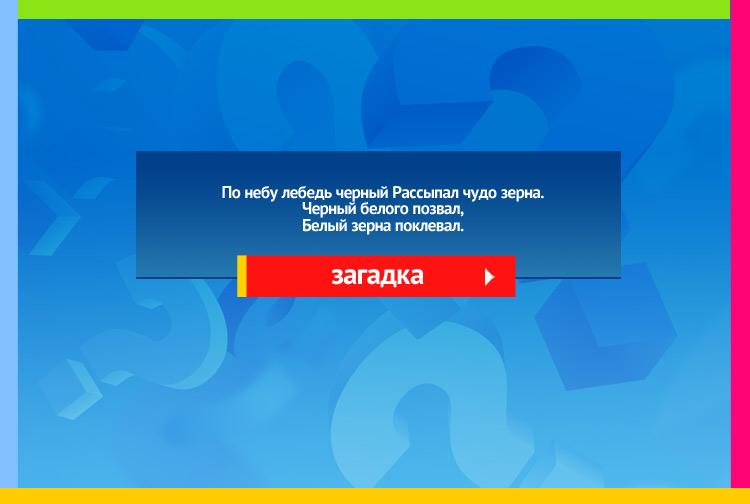 Загадка про Ночь, звезды и день. По небу лебедь черный Рассыпал чудо зерна. Черный белого позвал, Белый зерна поклевал.