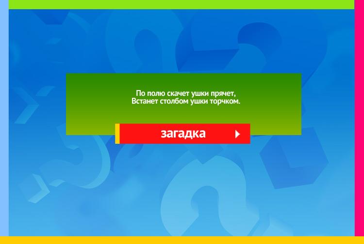 Загадка про зайца. По полю скачет ушки прячет, Встанет столбом ушки торчком.