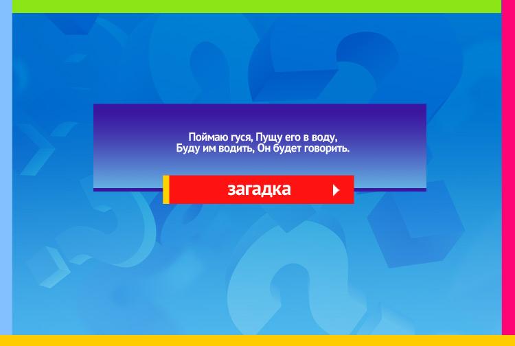 Загадка про Перо для письма. Поймаю гуся, Пущу его в воду, Буду им водить, Он будет говорить.