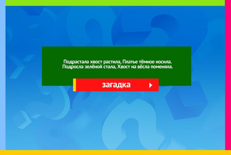 Загадка про лягушку (жабу). Подрастала хвост растила, Платье тёмное носила. Подросла зелёной стала, Хвост на вёсла поменяла.