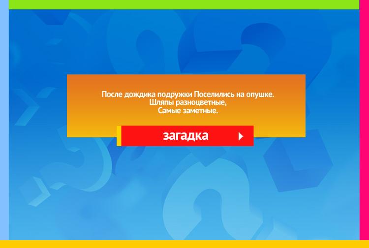 Загадка про Грибы, Сыроежки. После дождика подружки Поселились на опушке. Шляпы разноцветные, Самые заметные.