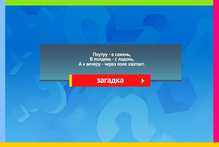 Загадка про тень. Поутру в сажень, В полдень с ладонь, А к вечеру через поле хватает.