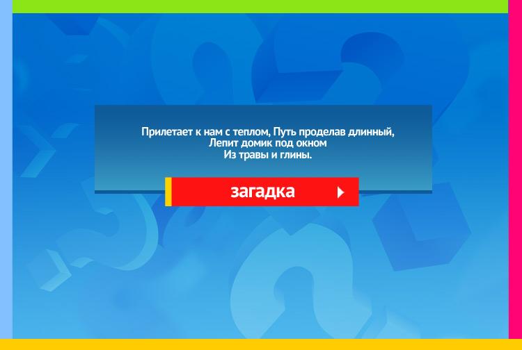 Загадка про Ласточку. Прилетает к нам с теплом, Путь проделав длинный, Лепит домик под окном Из травы и глины.