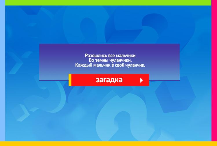 Загадка про перчатку. Разошлись все мальчики Во темны чуланчики, Каждый мальчик в свой чуланчик.