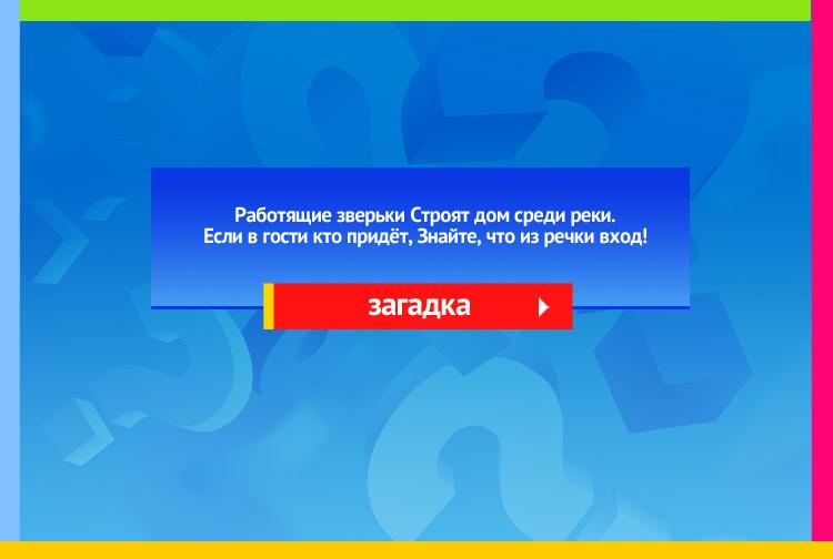 Загадка про Бобры. Работящие зверьки Строят дом среди реки. Если в гости кто придёт, Знайте, что из речки вход