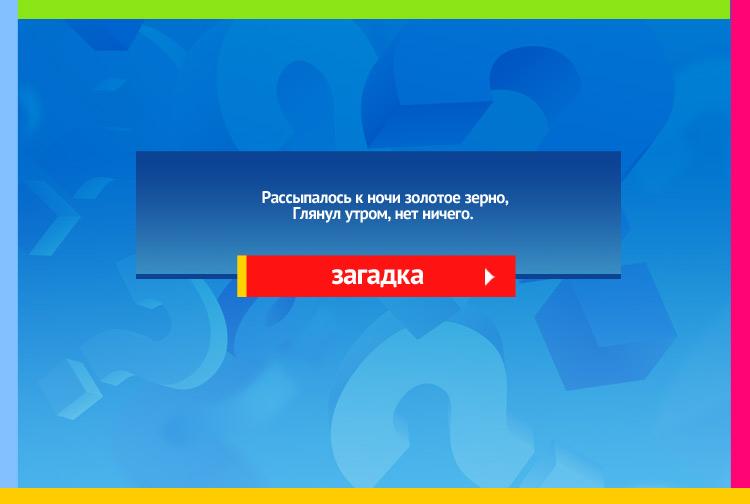 Загадка про Звезды на небе. Рассыпалось к ночи золотое зерно, Глянул утром, нет ничего.