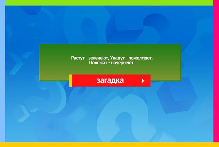 Загадка про Листья. Растут зеленеют, Упадут пожелтеют, Полежат почернеют.