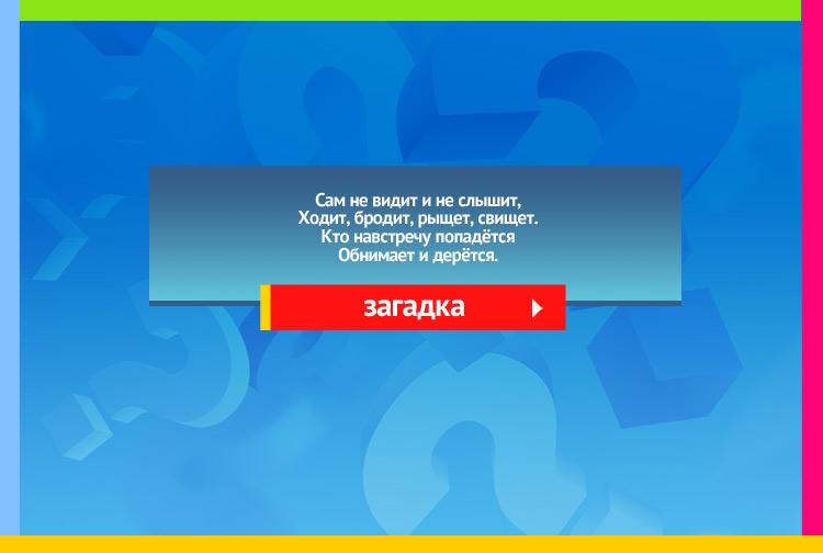 Загадка про ветер. Сам не видит и не слышит, Ходит, бродит, рыщет, свищет. Кто навстречу попадётся Обнимает и дерётся.