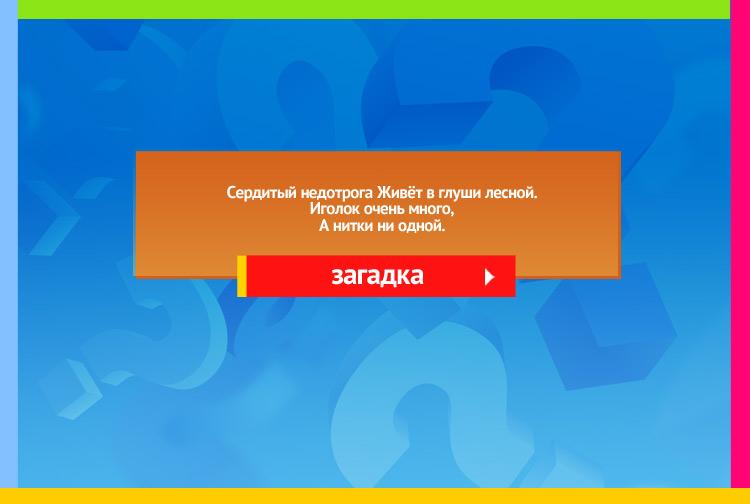 Загадка про ежика. Сердитый недотрога Живёт в глуши лесной. Иголок очень много, А нитки ни одной.