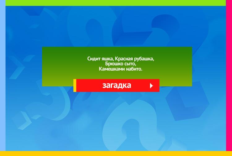 Загадка про шиповник. Сидит яшка, Красная рубашка, Брюшко сыто, Камешками набито.