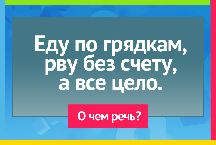 Загадка про чтение. Еду по грядкам, рву без счету, а все цело.