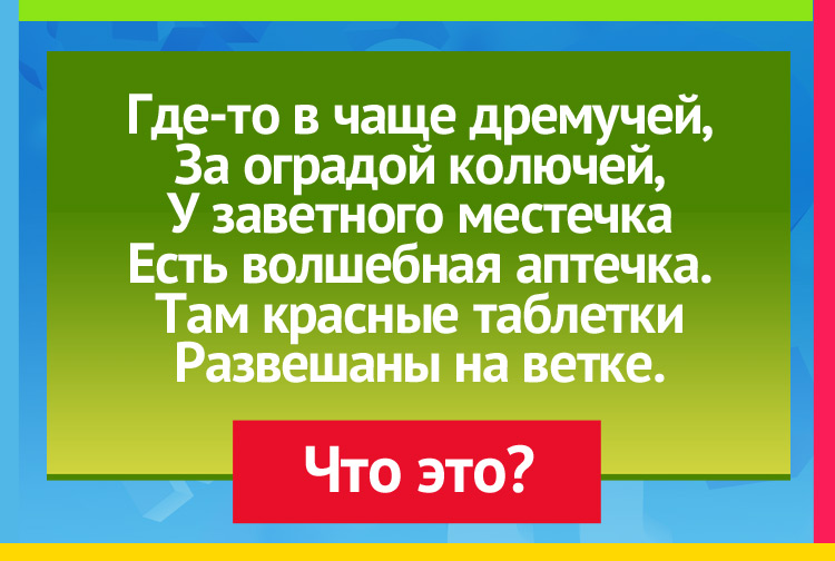 Загадка про шиповник. Где-то в чаще дремучей, За оградой колючей, У заветного местечка Есть волшебная аптечка. Там красные таблетки Развешаны на ветке.