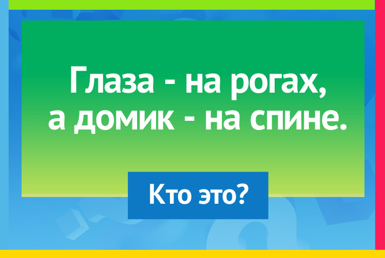 Загадка про улитку. Глаза на рогах, А домик на спине.