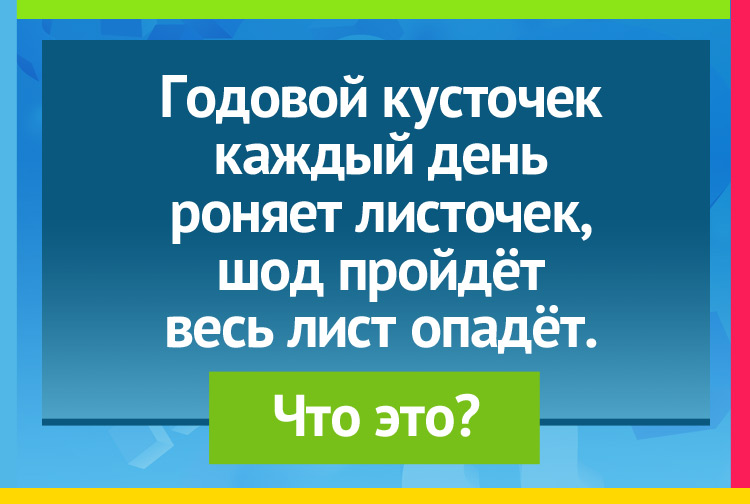 Загадка про календарь. Годовой кусточек Каждый день роняет листочек, Год пройдёт - Весь лист опадёт.