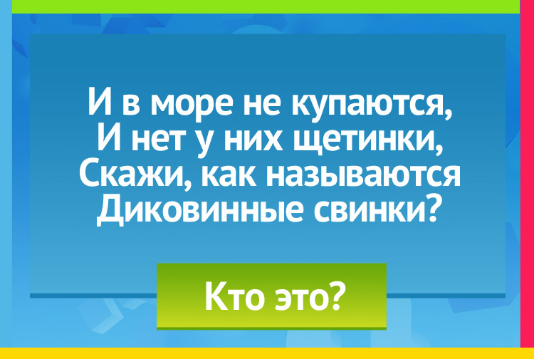 Загадка про морских свинок. И в море не купаются, И нет у них щетинки, Скажи, как называются Диковинные свинки?