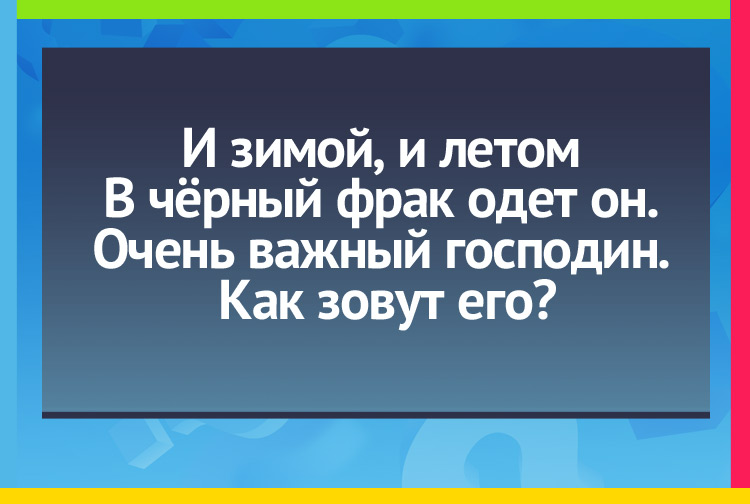 Загадки про пингвина. И зимой, и летом В чёрный фрак одет он. Очень важный господин. Как зовут его?