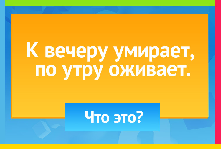 загадка про день. К вечеру умирает, По утру оживает.