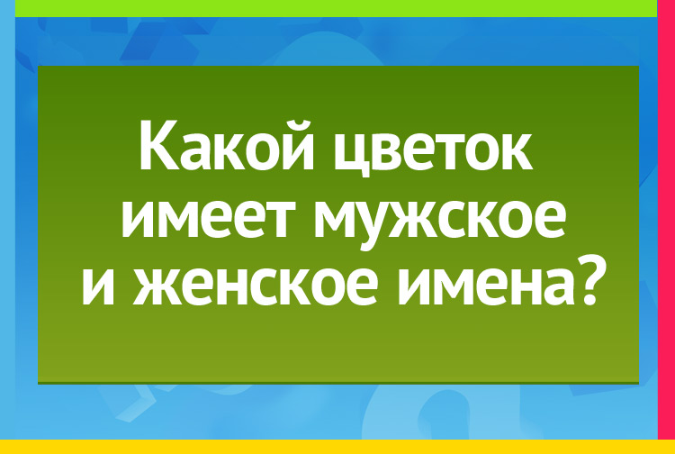 загадка про Иван-да-Марья. Какой цветок имеет мужское и женское имена?