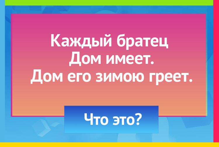 Загадка про перчатки. Каждый братец дом имеет, Дом его зимою греет.