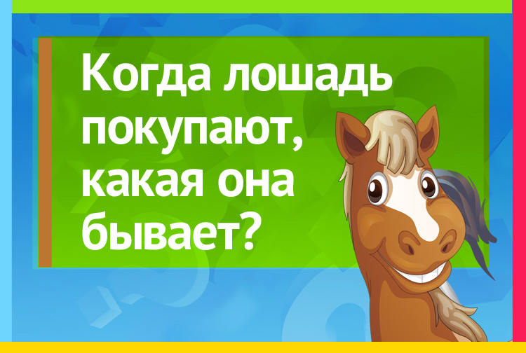Когда лошадь покупают какая она бывает?
