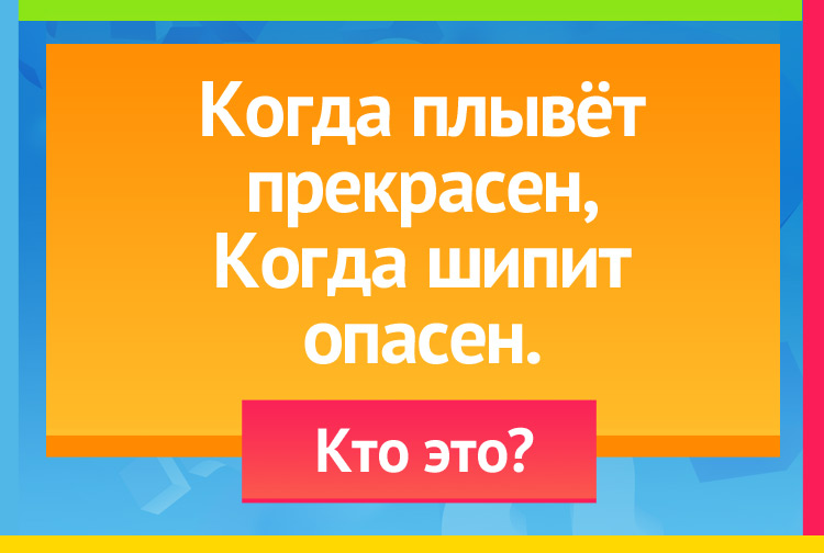 Загадка про гуся. Когда плывёт прекрасен, Когда шипит опасен.