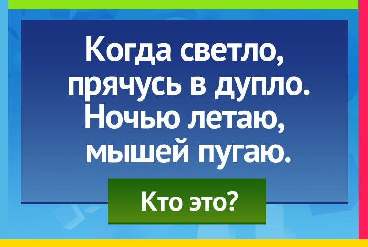 Загадка про филина. Когда светло, прячусь в дупло. Ночью летаю, мышей пугаю.