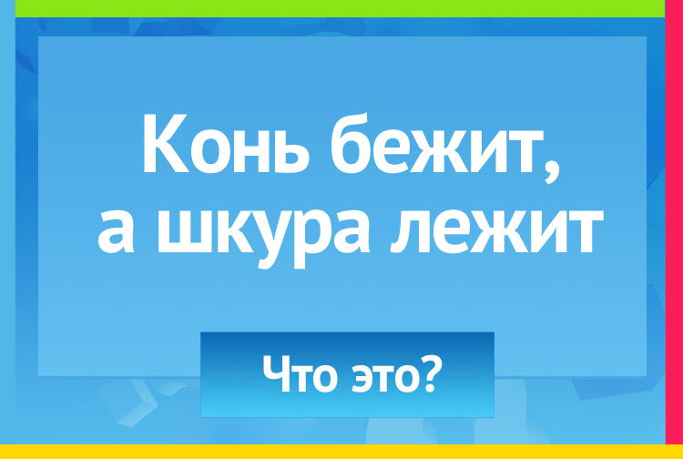 Загадка река под льдом. Конь бежит, а шкура лежит.