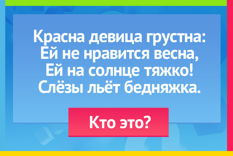 Загадка про снегурочку. Красна девица грустна, Ей не нравится весна, Ей на солнце тяжко! Слёзы льёт бедняжка.