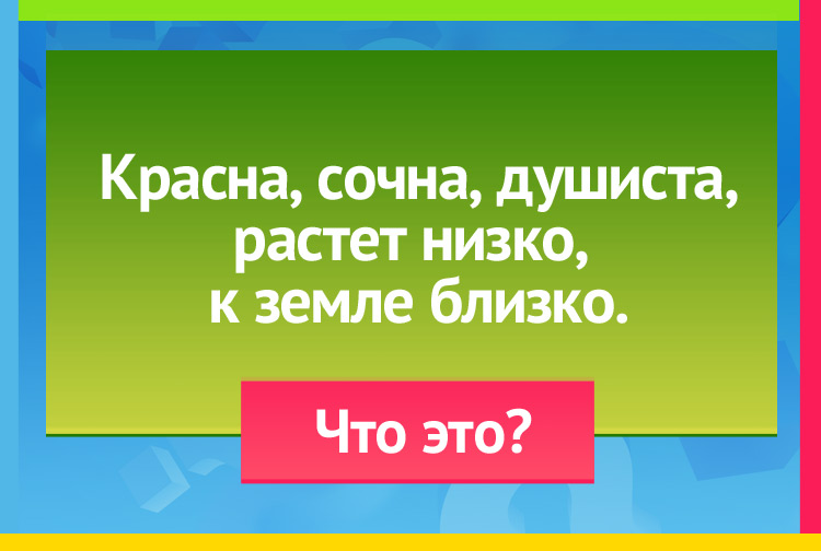 Загадка про землянику. Красна, сочна, душиста, Растет низко, к земле близко.