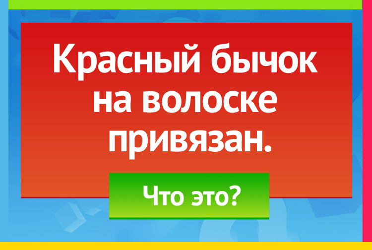 Загадка про клюкву. Красный бычок, На волоске привязан.