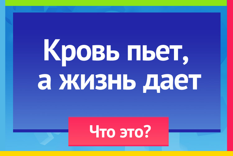 Загадка про пиявку. Кровь пьет, А жизнь дает.