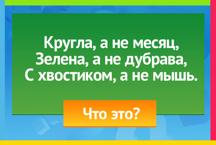 Загадка про репу. Кругла, а не месяц, Зелена, а не дубрава, С хвостиком, а не мышь.