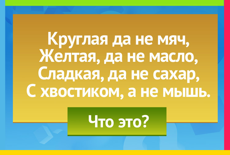 Загадка про репу. Кругла, да не девка. С хвостом, да не мышь.